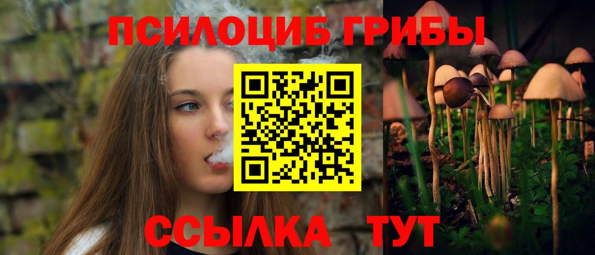 Дзержинский  Галлюциногенные грибы MAGIC MUSHROOMS  Вход с VPN 
