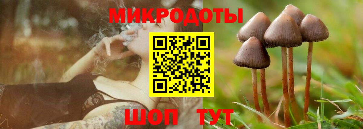 Галлюциногенные грибы Cubensis Дзержинский